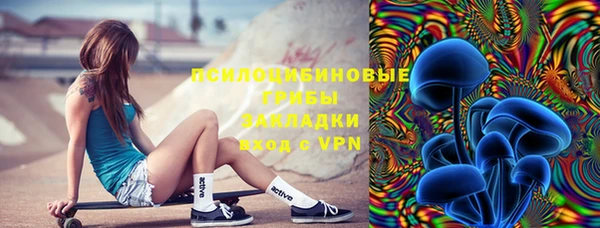 винт Нея